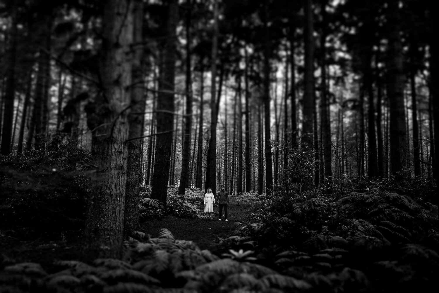 Shouldham Woods engagement photography